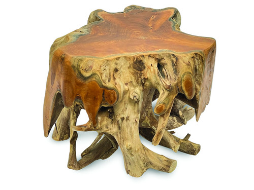 Small round spider teak - spider, root